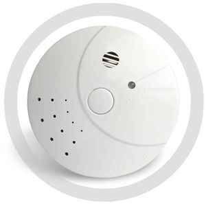 Smoke detector alarm