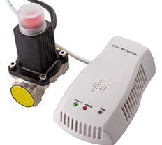 gas alarm detector RCG415V